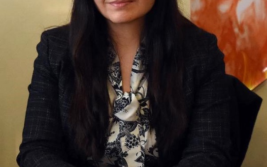 Hdp'li ertan'a 30 yıl hapis istemi