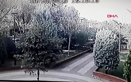 Küçükçekmece'de pitbull dehşeti