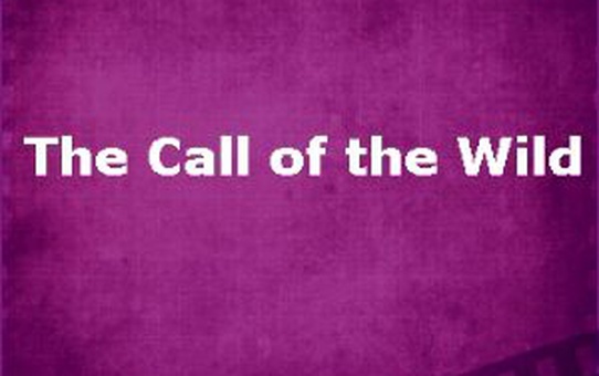 The Call Of The Wild Filmi