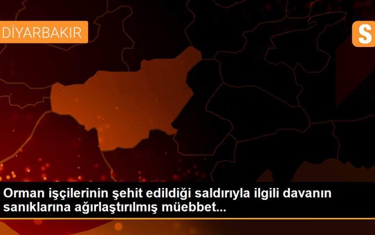 Orman işçilerinin şehit edildiği saldırıyla ilgili davanın sanıklarına ağırlaştırılmış müebbet...