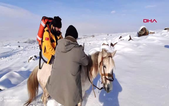 Erzurum sağlık ekibi, atla geldikleri köydeki hastayı kızakla götürdü