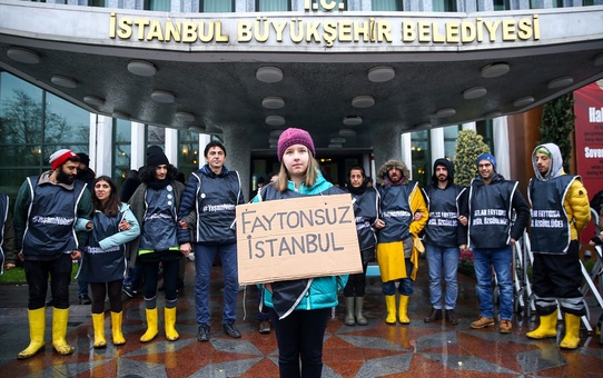Hayvan hakları savunucuları faytona koşulan atlar için yaşam zinciri oluşturdu