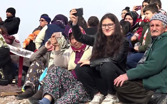 İzmir menemen'de deve güreşleri'ne, haytap'tan tepki