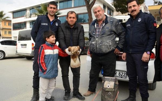 Yaralı şahini evinde besledi