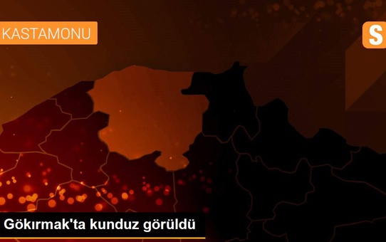 Gökırmak'ta kunduz görüldü