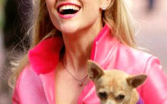 Legally Blonde 3 Filmi