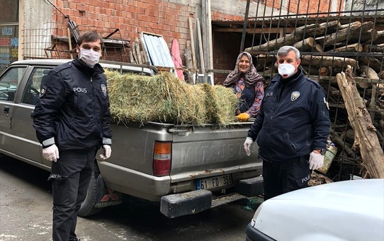 Vefa Sosyal Destek Grubu'ndan inekleri için ot istedi