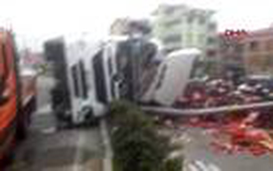 Ordu'da TIR devrildi, sebzeler yola saçıldı
