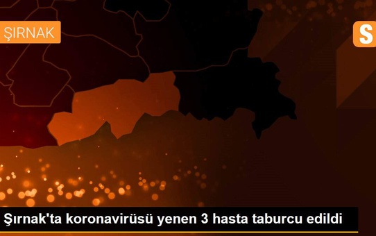 Şırnak'ta koronavirüsü yenen 3 hasta taburcu edildi