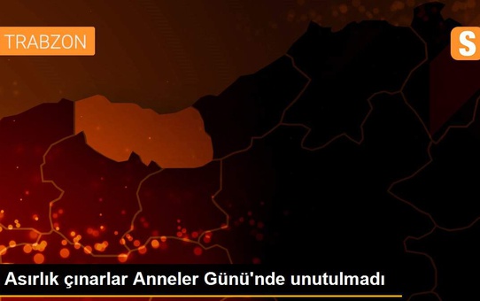 Asırlık çınarlar Anneler Günü'nde unutulmadı