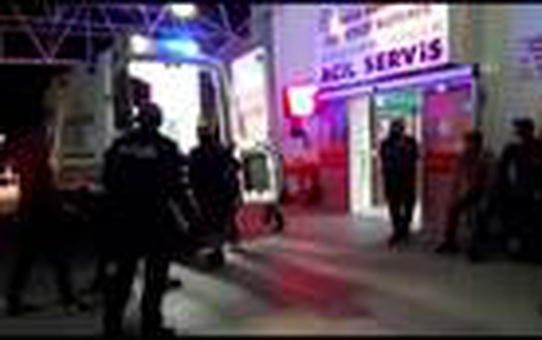 Aydın'da otomobil ağaca çarptı: 4 yaralı