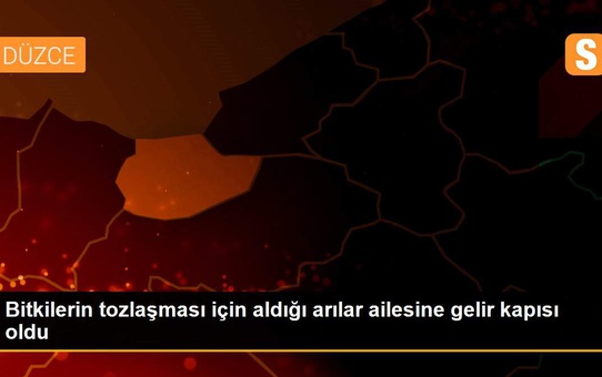 Bitkilerin tozlaşması için aldığı arılar ailesine gelir kapısı oldu