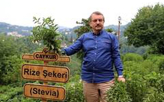 ÇAYKUR Eski Genel Müdürü İmdat Sütlüoğlu iddialara cevap verdi