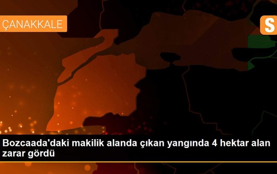 Bozcaada'daki makilik alanda çıkan yangında 4 hektar alan zarar gördü