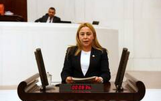 MHP Milletvekili Kara: 'Tarımsal elektrik ve sulamada hasat sonrası ödeme sistemine geçilmeli'