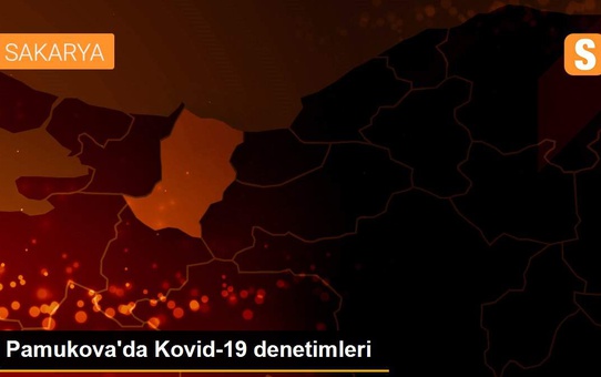 Pamukova'da Kovid-19 denetimleri