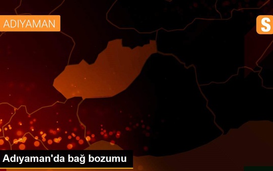 Adıyaman'da bağ bozumu