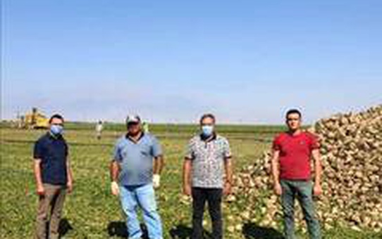 Yeşilhisar'da pancar hasadı başladı