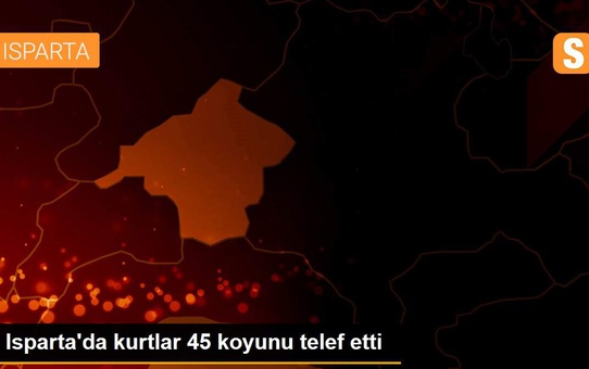 Isparta'da kurtlar 45 koyunu telef etti