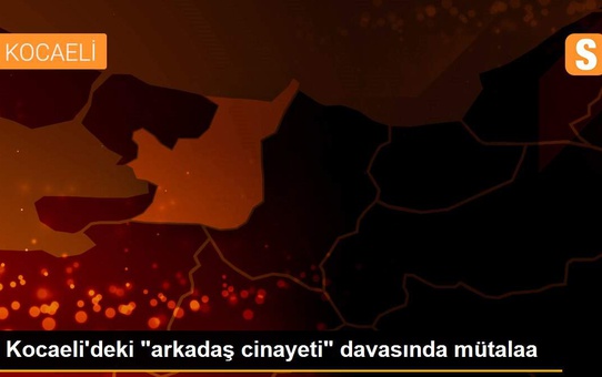 Kocaeli'deki 'arkadaş cinayeti' davasında mütalaa