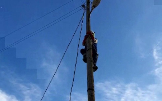 Elektrik direğinde mahsur kalan kediyi ÇEDAŞ ekipleri kurtardı
