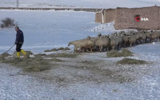 Sivaslı çoban, koyunların su içmesi için donan yalağın buzunu kürekle kırdı