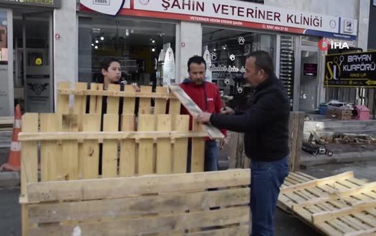 Sokak hayvanları için atık tahta paletleri sıcak yuvaya dönüştürdüler