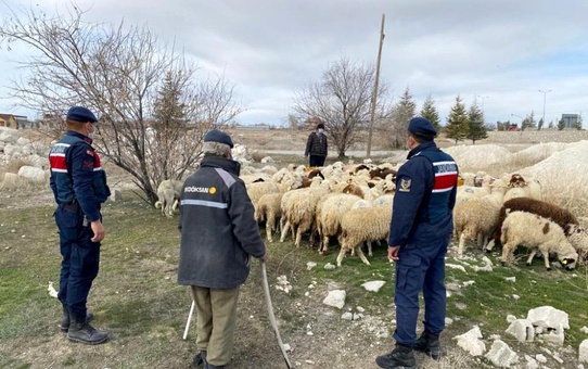 Kayıp koyunları jandarma ekipleri drone ile buldu