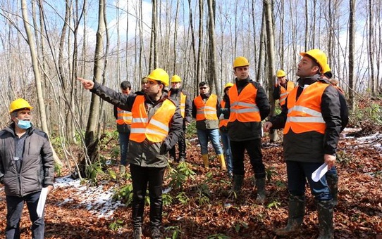 Düzce'de silvikültür uygulamaları yapıldı