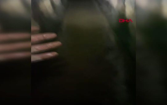 İSTANBUL-SULTANGAZİ'DE KÖPEK KURTARMAK İÇİN TARİHİ SU YOLUNA GİREN İKİ KİŞİ İÇERDE MAHSUR KALDI