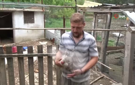 Pandemide iş yerini kapatan genç artık süs tavuğu yetiştiriyor
