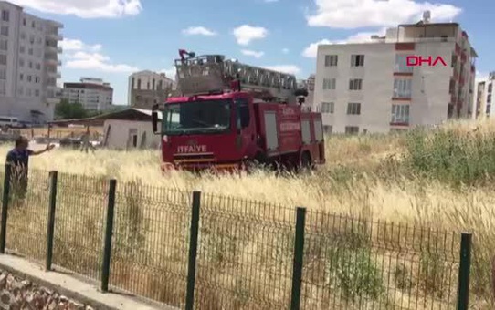 Son dakika... ADIYAMAN SU KANALINA DÜŞEN İNEĞİ İTFAİYECİLER KURTARDI
