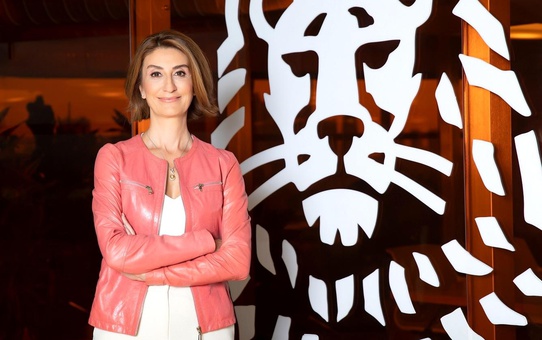 ING Uluslararası Yetenek Programı kapsamında 'Practica Kampı' gerçekleşti