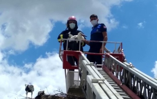 Direkte mahsur kalan leyleği itfaiye kurtardı