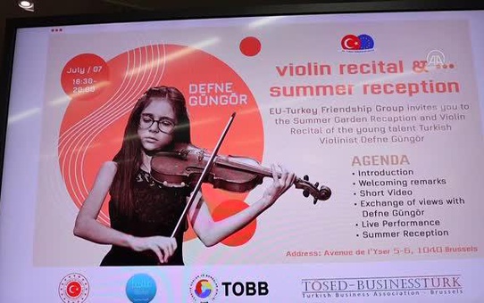 AB-Türkiye Dostluk Grubundan resepsiyon