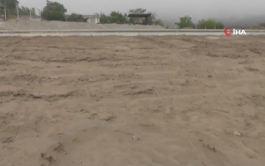 Kemer'de yeni caretta caretta yumurtlama alanı tespit edilip yuvalar koruma altına alındı