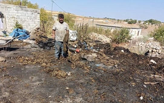 Son dakika haberi! Kahta'da çıkan yangında 9 ton tütün yandı