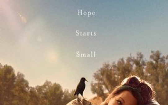 The Starling Filmi