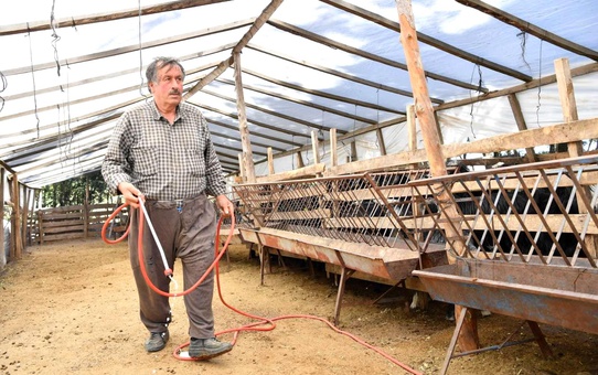 Hayvan üreticilerine ilaçlama desteği