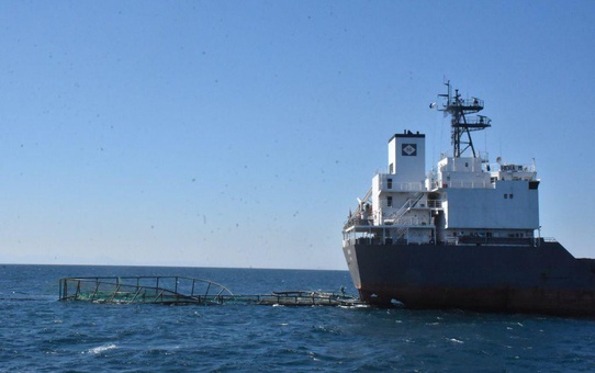Muğla'da kuru yük gemisi balık üretim çiftliğinin havuzuna çarptı