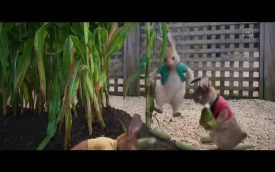 Sinema - Peter Rabbit: Kaçak Tavşan
