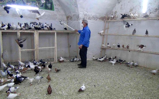 Ömrünü kuşlara adadı