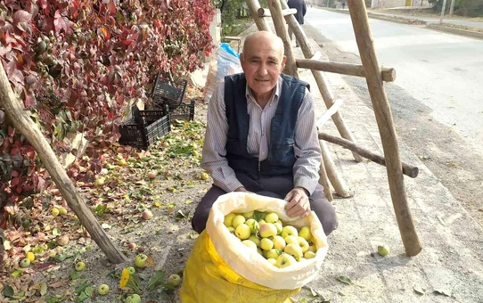 Emet ve Hisarcık'ta Küreci elmasına yoğun ilgi
