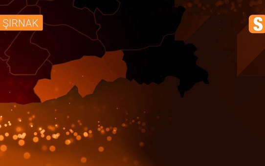 Şırnak Milletvekili Rizgin Birlik ailesi hakkındaki iddialara ilişkin açıklama yaptı
