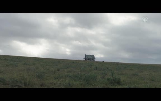 Sinema