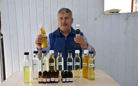 Torosların şifalı bitkilerinden 25 çeşit yağ çıkarıyor