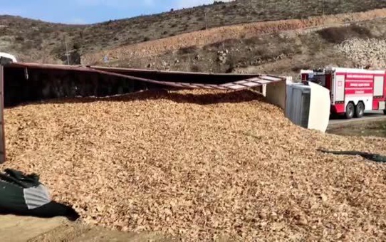 İnegöl'de devrilen talaş yüklü tırın sürücüsü yaralandı