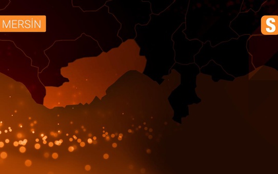 Zorlu yeşil soğan hasadının yükünü kadınlar çekiyor