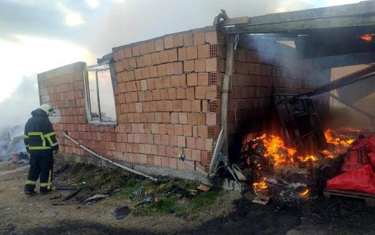 Son dakika: Lüleburgaz'da ağıl yangını; 10 hayvan öldü