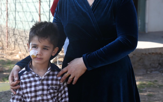 Mardin'de köpeklerin saldırdığı 4'ü çocuk 7 kişi taburcu edildi